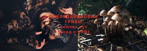 apvp Аркадак