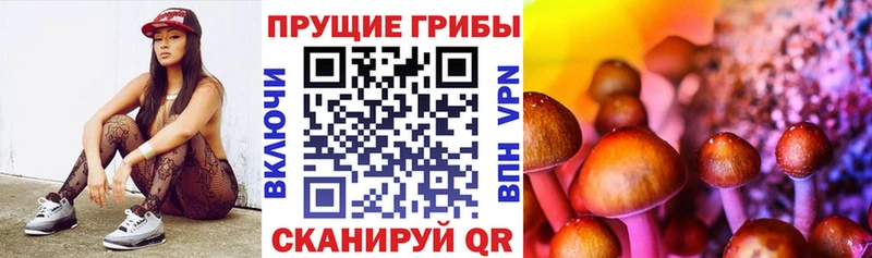 Галлюциногенные грибы прущие грибы Неман